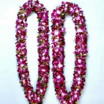 Blooming Orchid - A Royal Affair