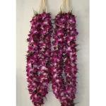 Purple Orchid Varmala
