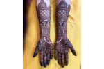 Bridal Traditional 3/4 Arm Length - Image 8