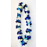 Blue Orchid