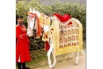 Single Decorated Ghodi for Wedding Baraat (procession) - Image 2