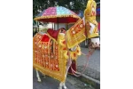 Single Decorated Ghodi for Wedding Baraat (procession) - Image 6