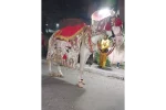 Single Decorated Ghodi for Wedding Baraat (procession) - Image 3