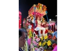 Single Decorated Ghodi with a Beautiful Umbrella holder for Wedding Baraat - Image 3
