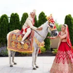 Single Decorated Ghodi for Wedding Baraat (procession)