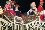 Single Decorated Ghodi with a Beautiful Umbrella holder for Wedding Baraat