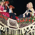 Single Decorated Ghodi with a Beautiful Umbrella holder for Wedding Baraat