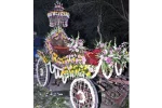 Single Decorated Ghodi with a Beautiful Umbrella holder for Wedding Baraat - Image 5