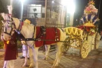 Two decorated Ghodi with Baggi (Horse cariage) - Image 2