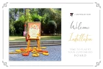 Premium Haldi Decor Packages - Image 3